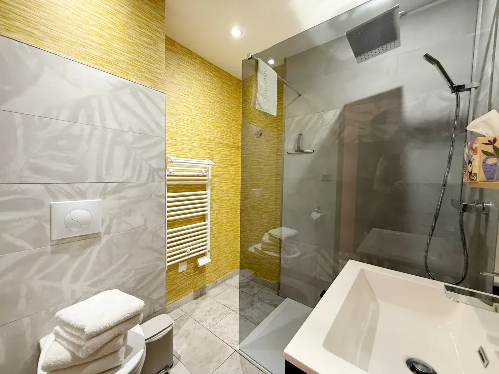 chambre 1 douche