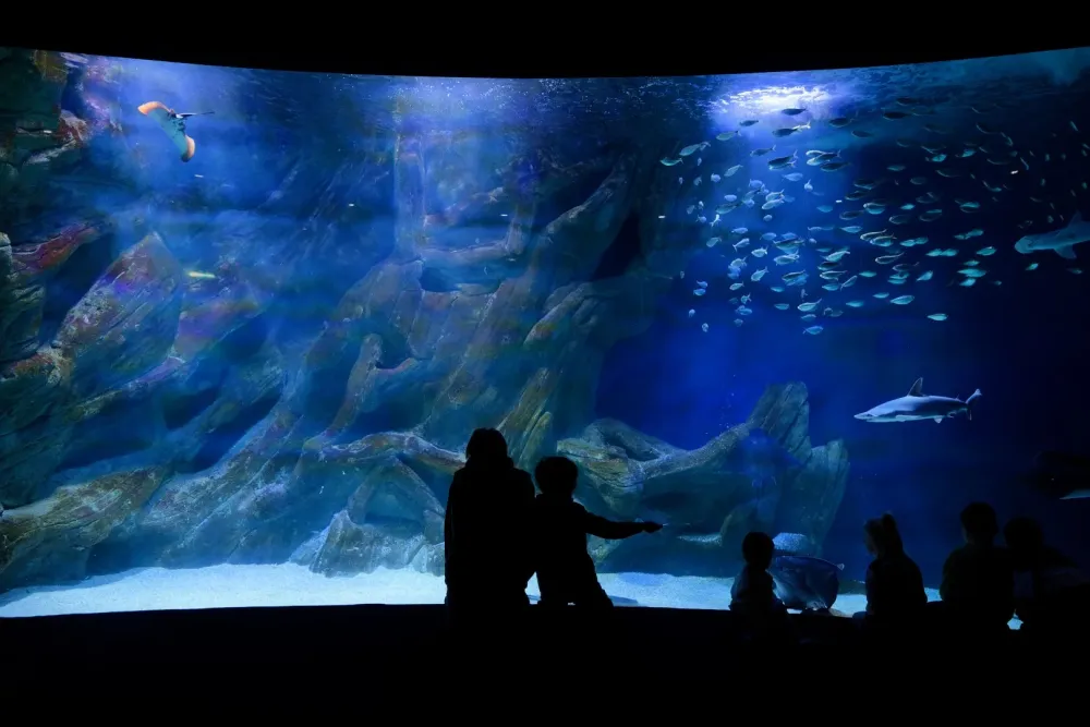 Aquarium La Rochelle